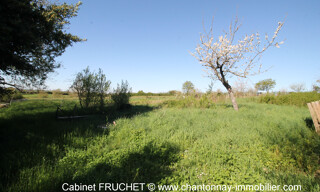 Photo N° 4