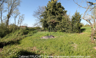 Photo N° 5