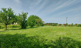 Photo N° 5