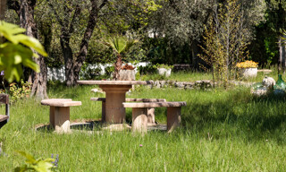 Photo N° 6
