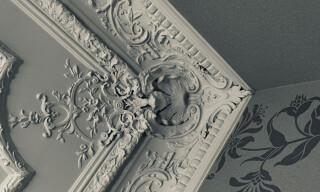Photo N° 8