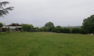 Photo N° 3