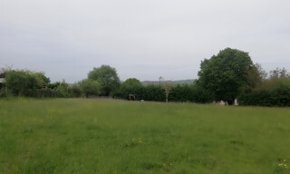 Photo N° 4