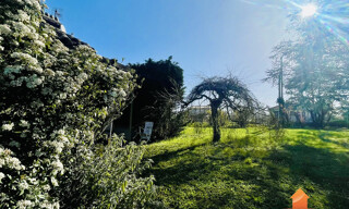 Photo N° 4