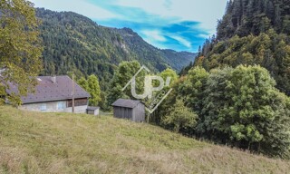 Photo N° 4