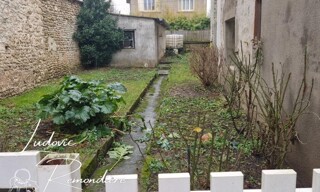 Photo N° 8