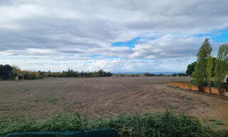 Photo N° 14