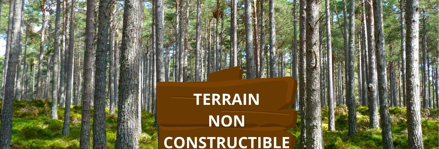 Terrain  42949 m² à vendre à Reignac (33860)