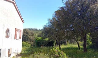 Photo N° 4