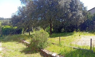 Photo N° 5