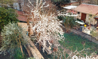 Photo N° 6