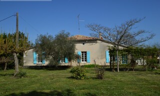 Photo N° 5