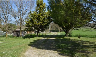 Photo N° 6