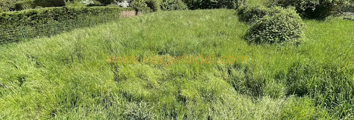 Maison 193 m² en viager Sorbiers (42290)