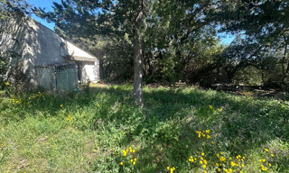 Photo N° 4