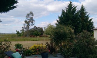 Photo N° 5