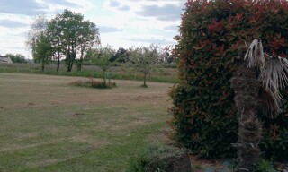 Photo N° 6
