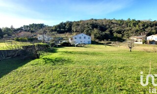 Photo N° 14