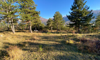 Photo N° 2