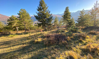 Photo N° 3