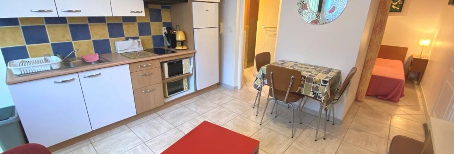 Appartement 1 Pièce 23 m² à vendre à Le Grau-du-Roi (30240)