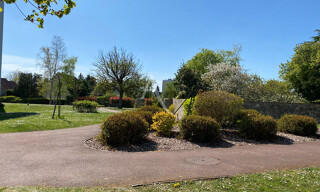 Photo N° 2