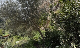 Photo N° 4
