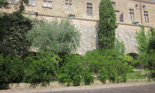 Photo N° 7