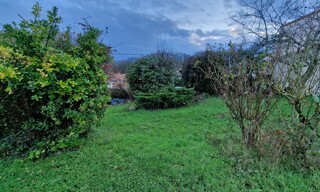 Photo N° 5