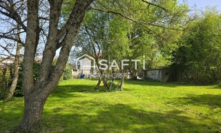 Photo N° 6