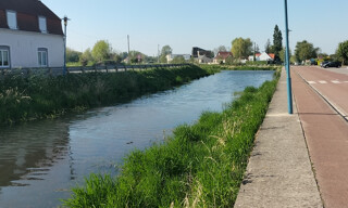 Photo N° 6