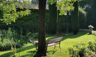 Photo N° 7