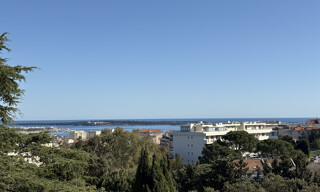 Appartement 1 Pièce 23 m² à vendre à Cannes (06400)