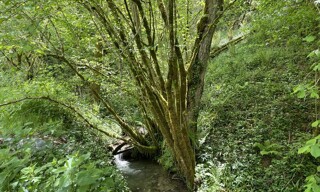Photo N° 3