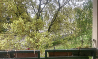 Photo N° 4