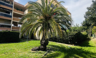 Appartement 1 Pièce 27 m² à vendre à Vallauris (06220)