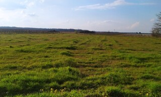 Terrain  1550 m² à vendre à Cérons (33720)