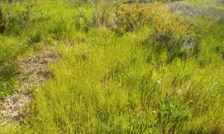 Terrain  500 m² à vendre à Gujan-Mestras (33470)