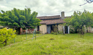 Photo N° 4
