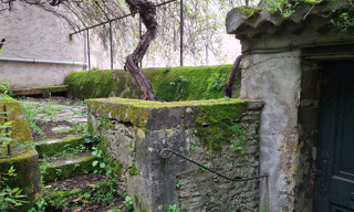 Photo N° 3