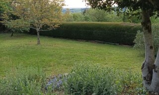 Photo N° 6