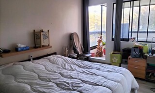 Photo N° 4