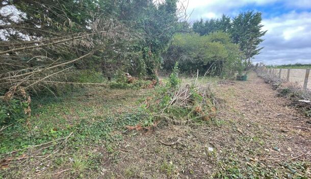 Terrain  à vendre Muron 17430