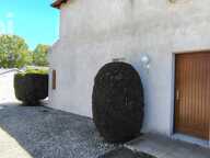 RONCE LES BAINS VILLA 3 pièces +garage et jardin — photo 4