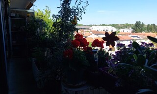 Photo N° 4