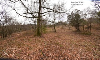 Photo N° 3