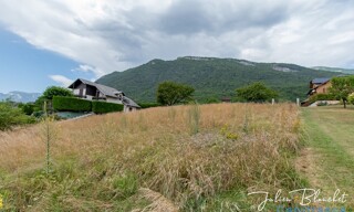 Photo N° 4