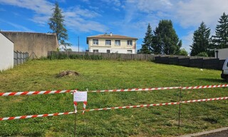 Photo N° 4
