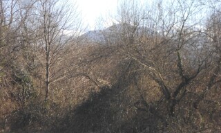 Photo N° 4