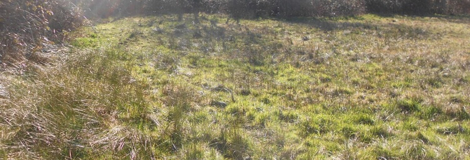 Terrain  1717 m² à vendre à Poueyferré (65100)